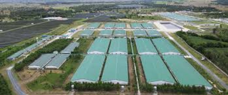 DỰ ÁN THADICO TỊNH BIÊN